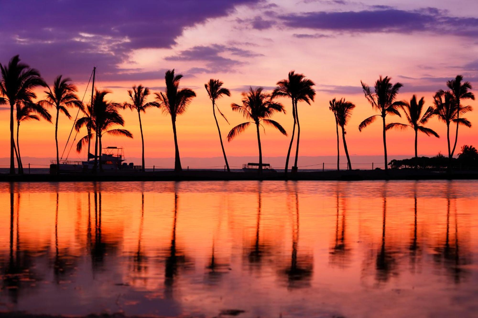 Waikiki Banyan 1Br With Great Ocean Views, Steps To Beach & Parking! Honolulu Luaran gambar